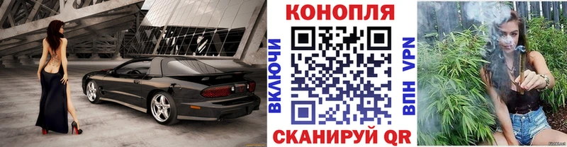 Псилоцибиновые грибы Балей
