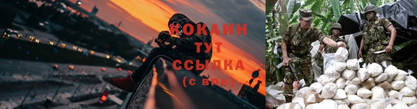 СК Ельня